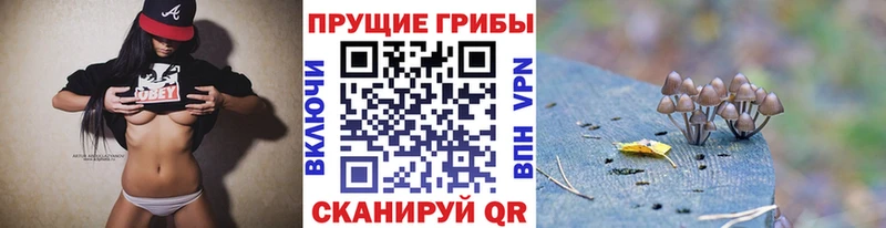 Галлюциногенные грибы прущие грибы  Реутов 